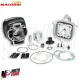 MF3740 Cilindro Malossi 70cc DM 47 Gilera Runner SP 50 2T LC Mot Piaggio SP.12