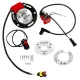 MF4727 Accensione Elettronica Selettra Athena Minarelli Aerox F12 Booster Jog R