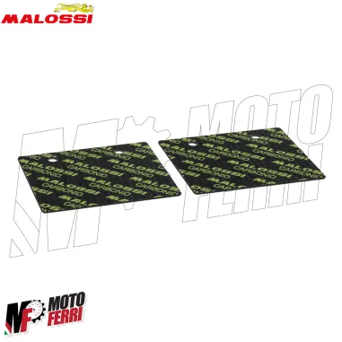 MF5504 Lamelle Pacco Lamellare Malossi VL18 in Carbonio 0,30mm MHR Team 45°