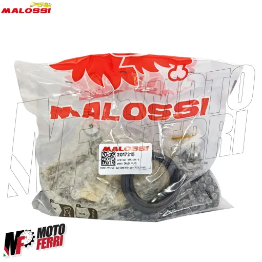 MF9707 Coperchio Carter Malossi AirForce RC-ONE 94 + Avviamento Aerox JOG 50 2T