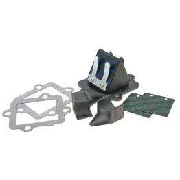 MF2248 PACCO LAMELLARE VALVOLE IN CARBONIO POLINI 50 2T MINARELLI ORIZZONTALE