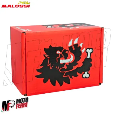 MF0401 Cilindro Malossi Modifica a 560cc Yamaha TMax 530cc da 2012 al 2019 DM 70