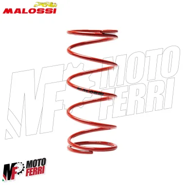 MF4340 Kit Over Range Trasmissione Variatore Malossi Piaggio Si Ciao Bravo Boss
