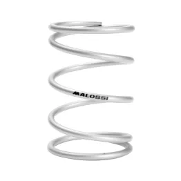 MF9716 Molla di Contrasto Variatore Malossi Grigia MBK Booster NG Rocket 50 2T
