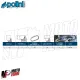 MF9722 Cinghia Trasmissione Variatore Polini Piaggio NRG MC3 MC2 POWER DD 50 2T