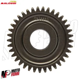 MF9725 Ingranaggi Primari Malossi 16 / 37 Piaggio ZIP SP Fast Rider 50 2T Cal 17 2