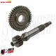 MF9725 Ingranaggi Primari Malossi 16 / 37 Piaggio ZIP SP Fast Rider 50 2T Cal 17