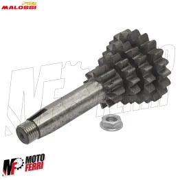 MF0929 Cluster Cambio Multiplo Malossi 10-14-17-20 Vespa 50 Special PK S XL 125 2