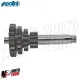 MF1447 Cluster Cambio Multiplo Polini 10-14-17-20 Vespa Special 50 R L N PK S XL