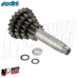 MF1447 Cluster Cambio Multiplo Polini 10-14-17-20 Vespa 125 ET3 PK S XL 2