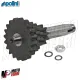 MF1447 Cluster Cambio Multiplo Polini 10-14-17-20 Vespa 125 ET3 PK S XL